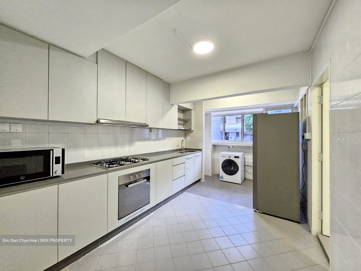 Dunearn Road (D11), Condominium #626456481